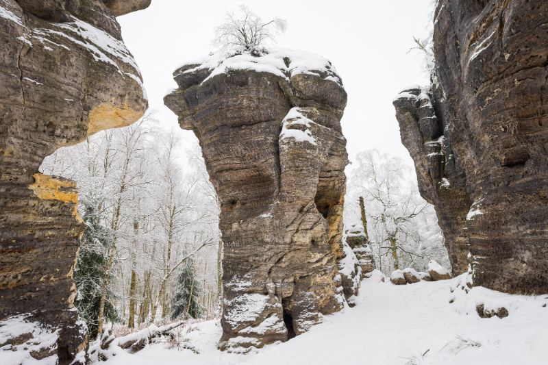 Tisa - zima (48 of 151).jpg