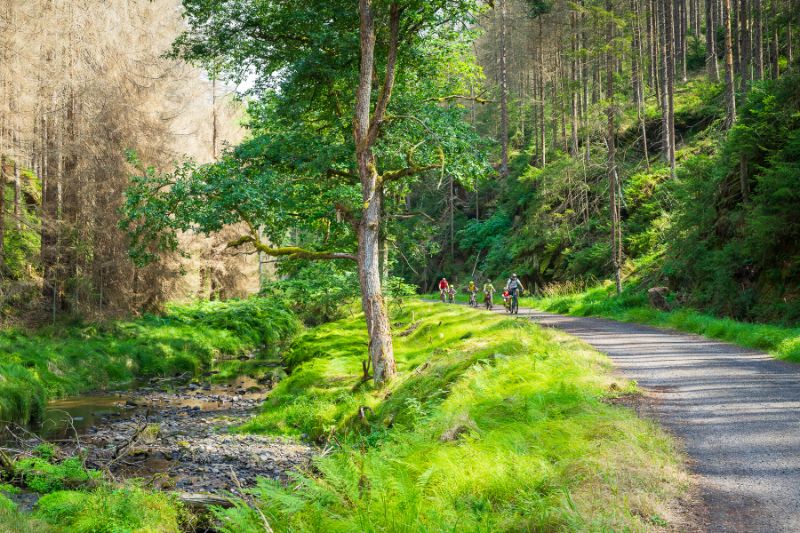 Podél Křinice přes Kyjovské údolí do Hřenska  (3).jpg