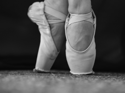 Snímek obrazovky 2026-04-15 102506.png